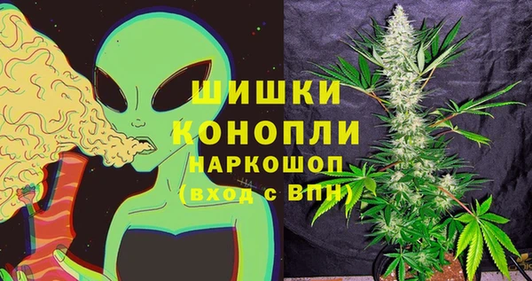 эйфоретик Елизово