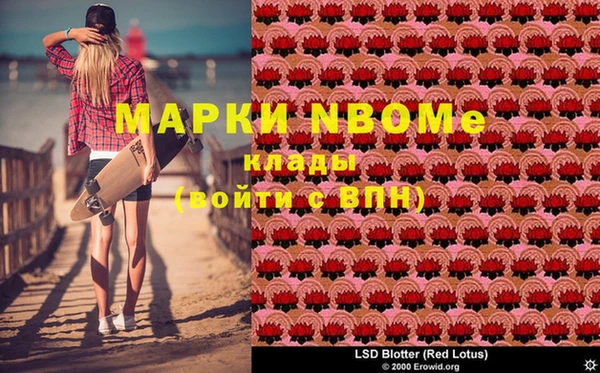 прущие крисы Ельня