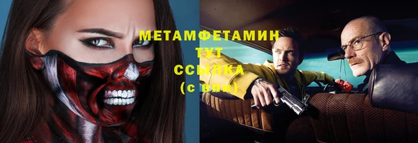 прущие крисы Ельня