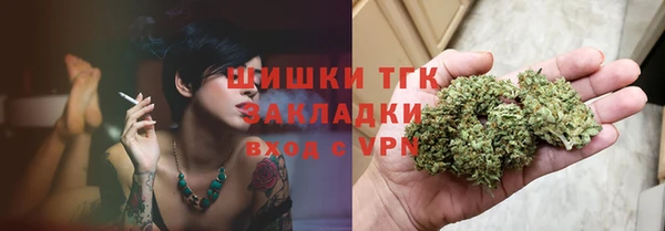 прущие крисы Ельня