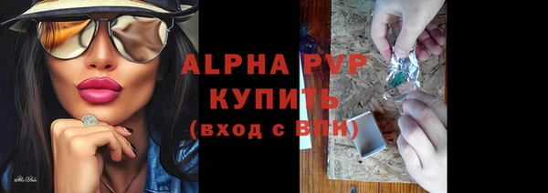 эйфоретик Елизово