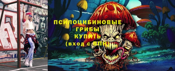 прущие крисы Ельня